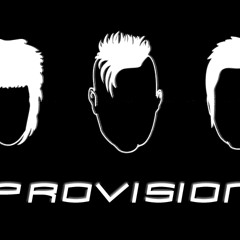 Provision - Could've Had It All - Stereokromatik Cover