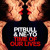 Artwork for Pitbull - Time Of Our Lives Ft. Ne-Yo