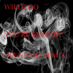 Wildzoo - You're Smokin' (Deenamo Remix)