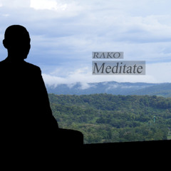 Meditate (Original Mix)