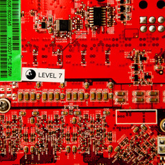 Level 7