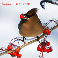 Vega Z - Pleasure 031