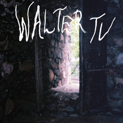 Paranormal Witness