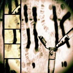 5 - A Cure For Death