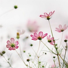 A New Winter | Music