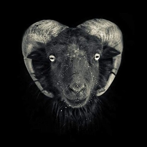Tassid & Eski - Opened Up Like A Goat **FREE DOWNLOAD**