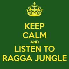 Vis Ton Mix Ragga Jungle