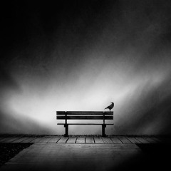 Release THE DarkSide