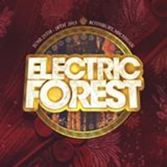 Electric Forest '15