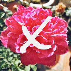 How Big, How Blue, How Beautiful - Florence And The Machine ( DavidSan - Remix )