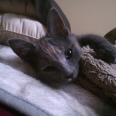 3 Months Later I'm Chillin