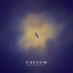 Caelum (feat. Cypix)