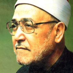 العمل للإسلام فى ظل الإستبداد السياسى - الشيخ محمد الغزالي