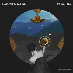 Natural Sequence - In Waiting (feat. Snicky B)