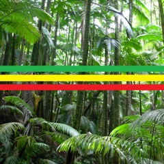 💚💛❤️JunglMassiv💚💛❤️