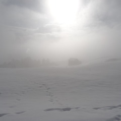 Song zu 'Lost Souls Ltd – White Sky' | Under the white sky