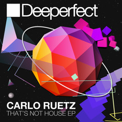 Carlo Ruetz - Ordinary House (Wigbert Remix)