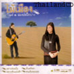 ไม้เมือง - เธอคือคำตอบ
