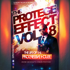 Dj Protege - The Protege Effect vol 8