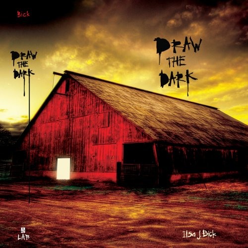 Draw The Dark by Ilsa J. Bick, Narrated by Joshua Swanson