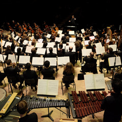 Edgard Varèse, Amériques