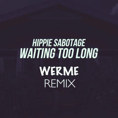 Hippie Sabotage - Waiting Too Long (werme Remix)