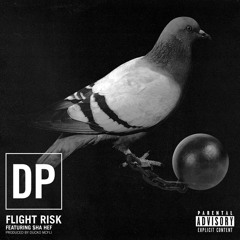 flight risk feat. $ha hef