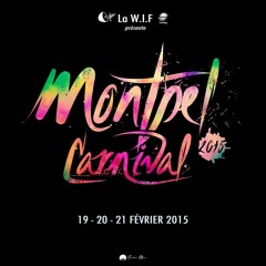 Bref, Je Vais Au Carnaval De Montpel' 2015 (DANCEHALL) by Dj Styla G