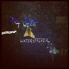 Midnight Moon - Waterstrider