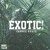Artwork for Sammie Beats - Exotic