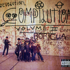 01 PiccionVolpe - ProEvolution Joint