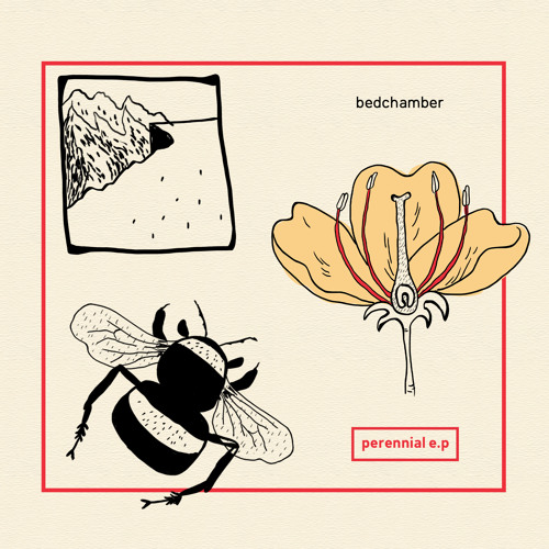 Petals