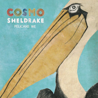 Cosmo Sheldrake - Rich (Ft. Anndreyah Vargas)