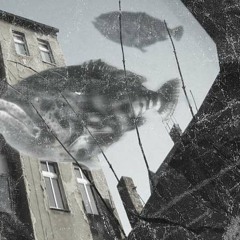 Dschungelfieber(2004)