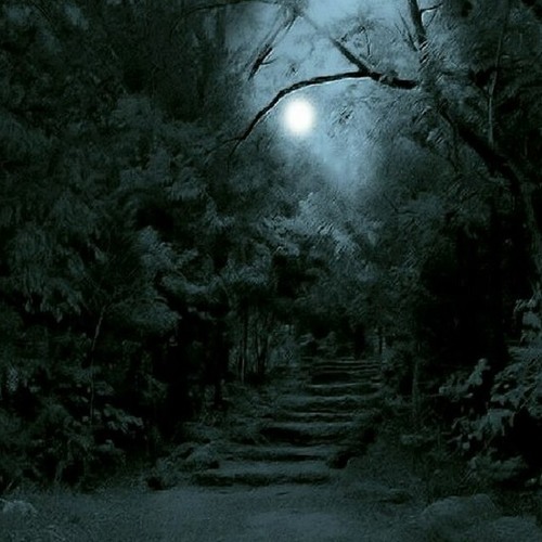 Stream Des Waldes Dunkel by INTj Listen online for free on SoundCloud