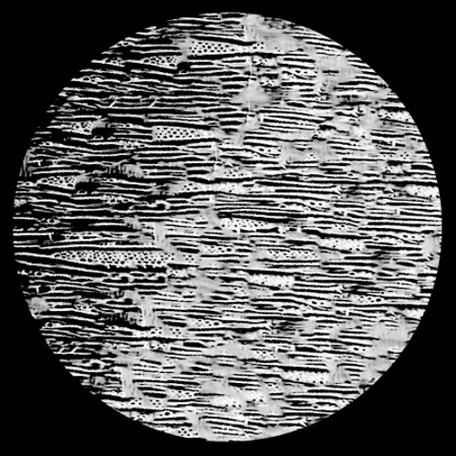 Hardened Chord (Regis Remix)