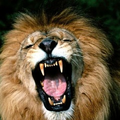 BULWA & GRZYBU - MAMY MOC!