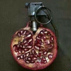 Freestyle 3 taier 2015 new mc embrator