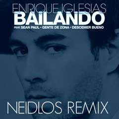 Enrique Iglesias ft Sean Paul - Bailando (Neidlos Remix)