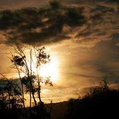 Vivelo - Jano (ft. Julieta)