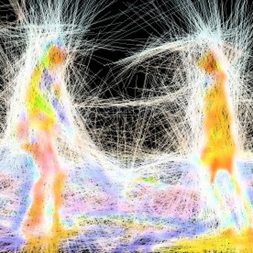 The last of mohican Mescalition guitarcover