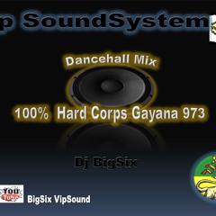 Dancehall Mix 100% Hard Corps Gayana 973 Dj BigSix Vip SoundSystem