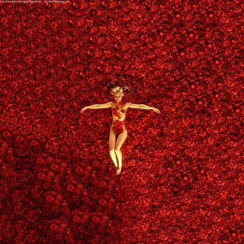 ROSES 'R' RED (Feb 2015) *FREE DOWNLOAD*