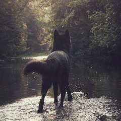 Chela & Dj Zahe - Pa' siempre