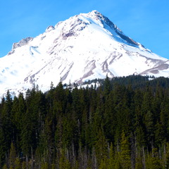 In the Meantime #5 @ Chill Arena