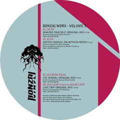 Bonzai Worx vol. 5 Bonzai Vinyl   BV2015005