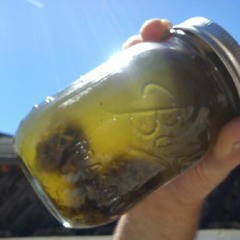 Moonshine Tim Osman Ocho Studios