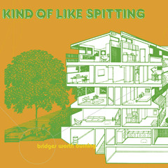 Kind Of Like Spitting "Passionate" (from Bridges Worth Burning)