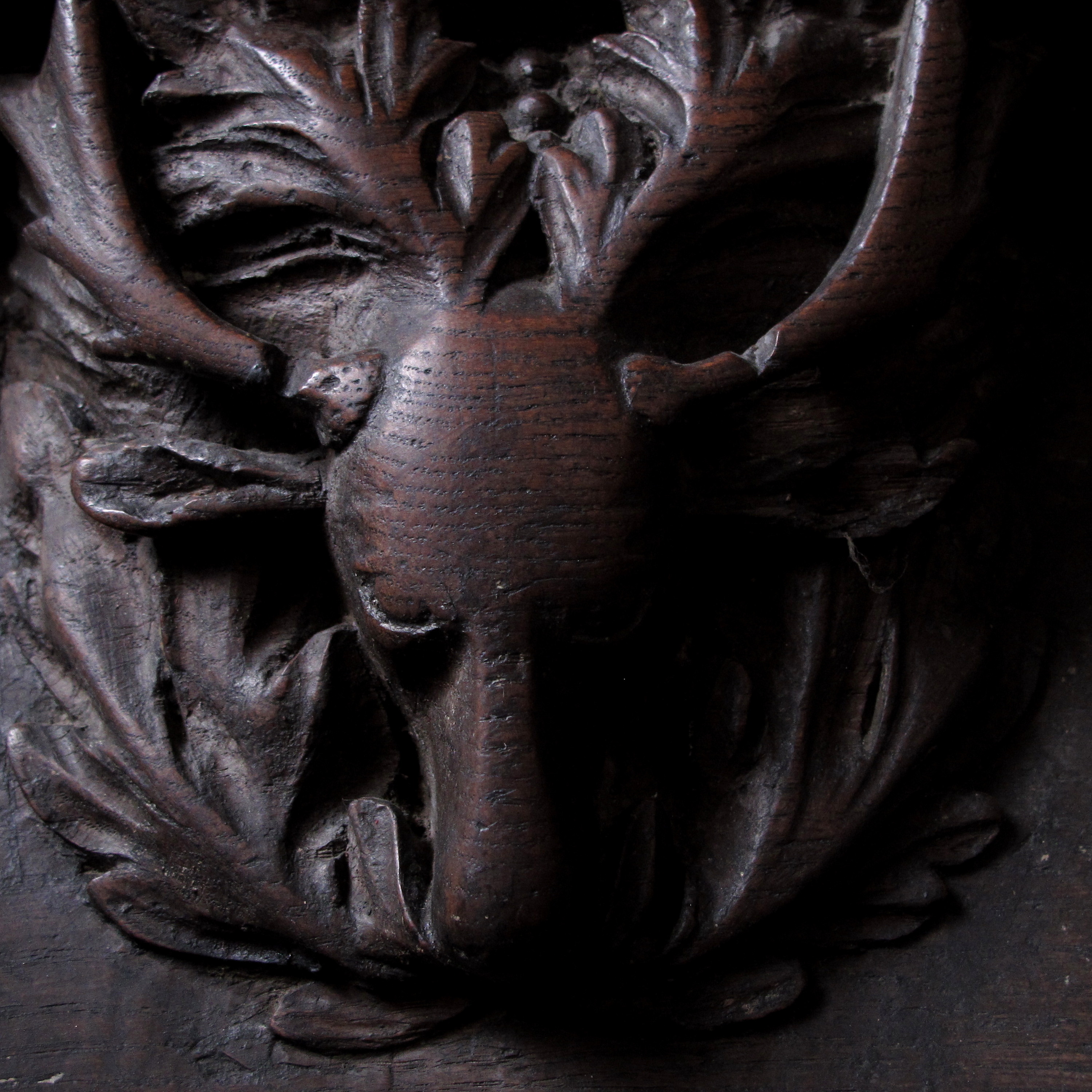 The Foliate Stag episode artwork