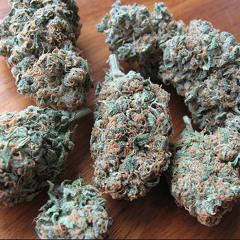 SupaStank Ft The MONSTER